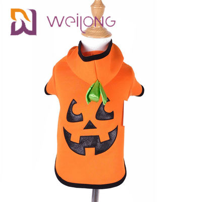 Jesień Haft Twarz Halloween Dynia Pies Bluza Kot Pies Ubrania